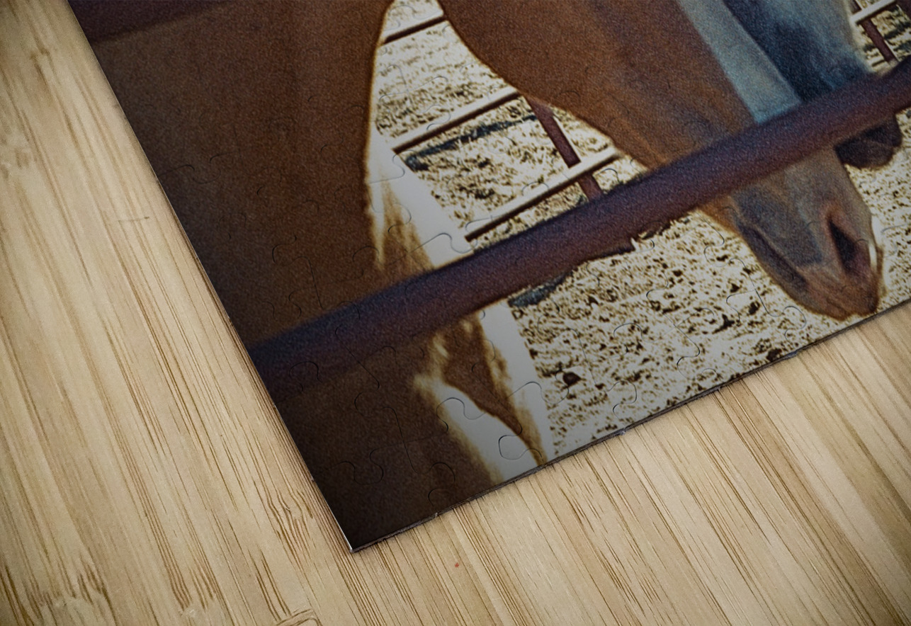 Horse Embrace  Bonnies Wall Art Puzzle