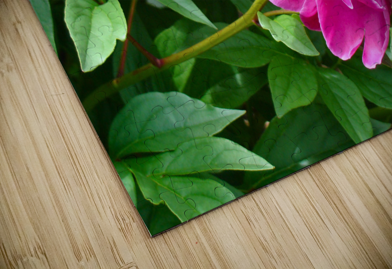 PInk Peony Bonnies Wall Art Puzzle