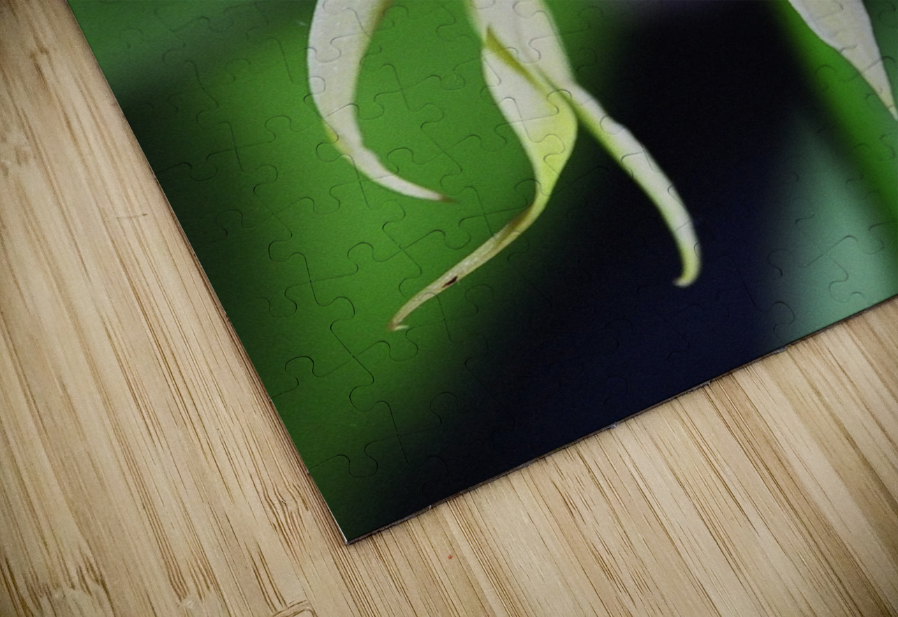 Dancing Orchid Bonnies Wall Art Puzzle