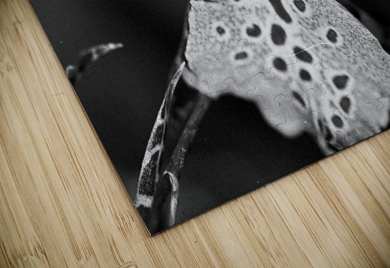 Spotted Orchid Bonnies Wall Art Puzzle