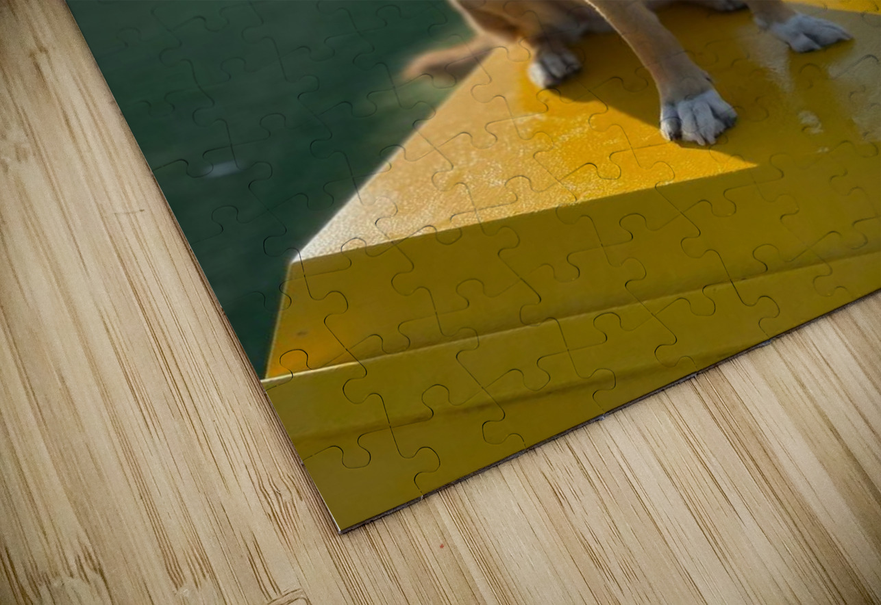 Rufus The Happy Dog Bonnies Wall Art Puzzle