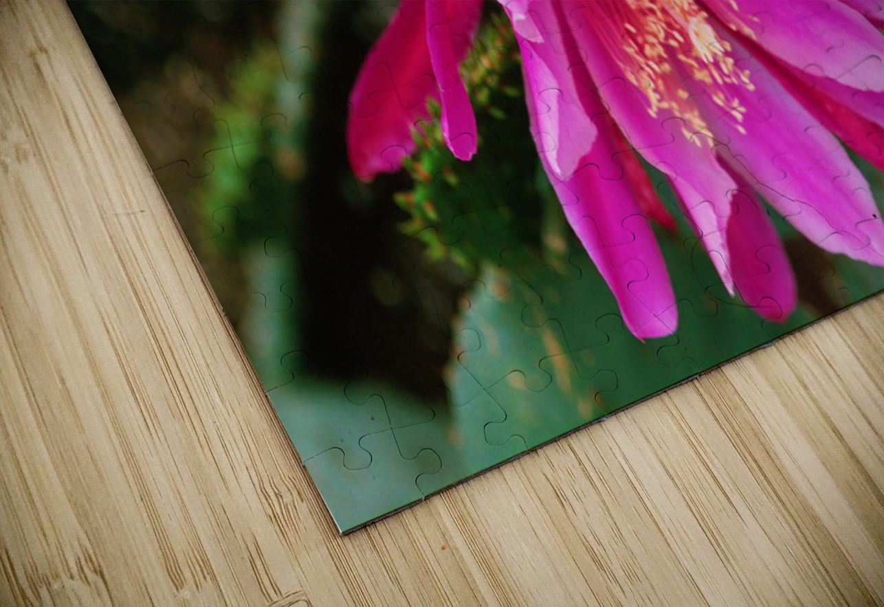 Fuschia Peony Burst Bonnies Wall Art Puzzle