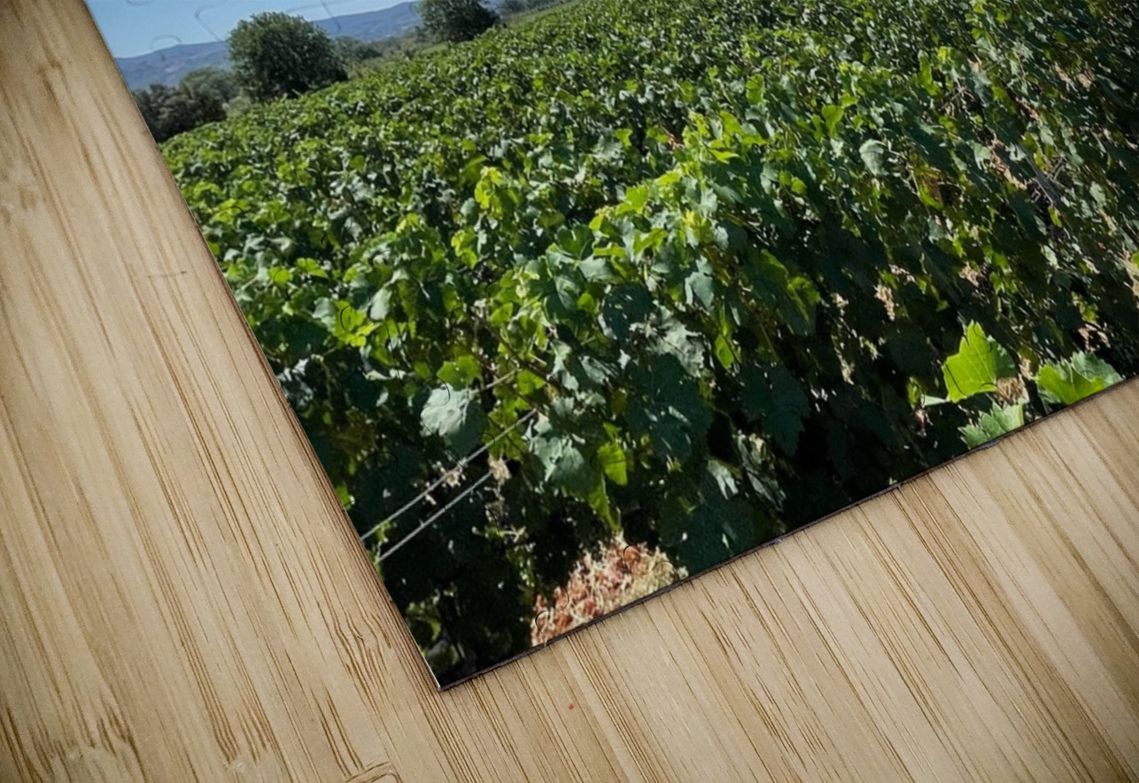 Tuscany Vineyards Cabernet Franc Bonnies Wall Art Puzzle