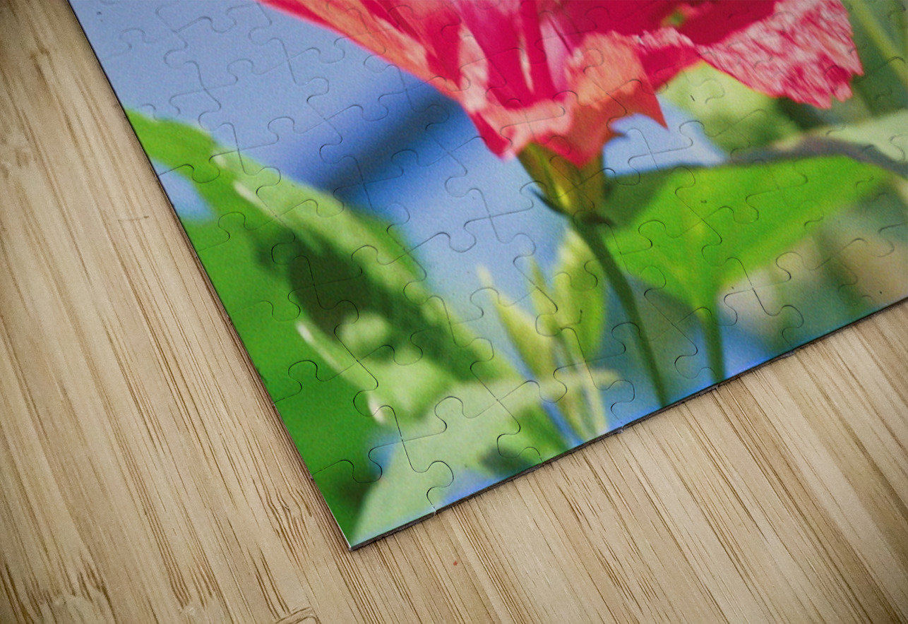 Butterflies Are Free  Bonnies Wall Art Puzzle