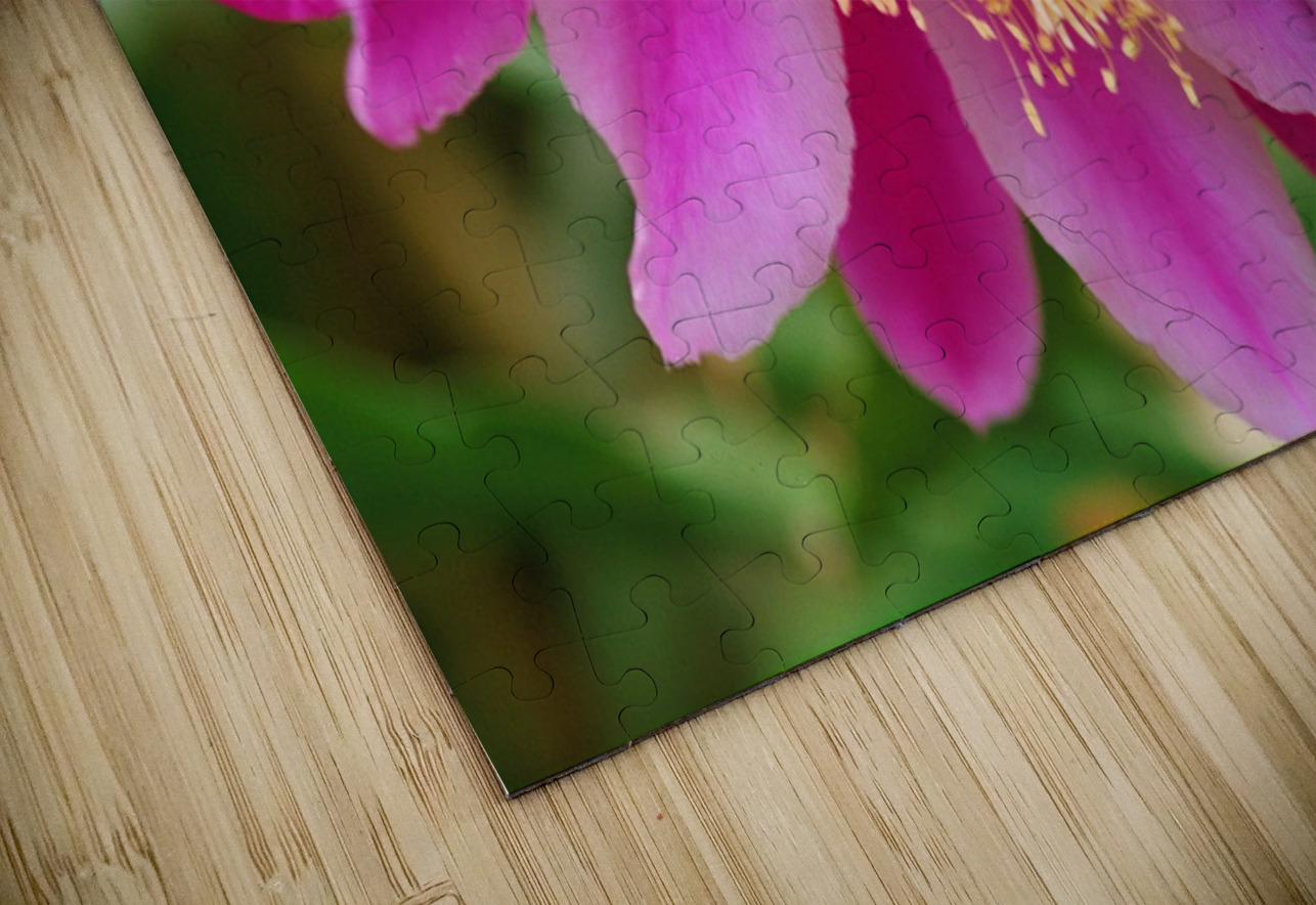 Fuschia Peony Flowering Bonnies Wall Art Puzzle