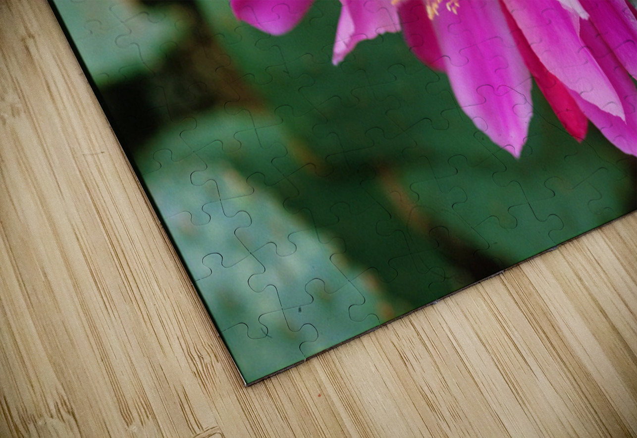 Fuschia Peony Side View Bonnies Wall Art Puzzle