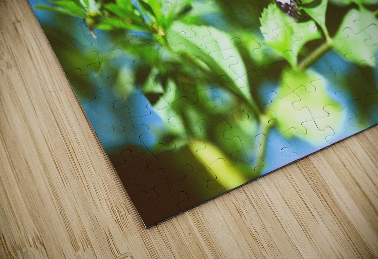 Monarch butterfly Bonnies Wall Art Puzzle