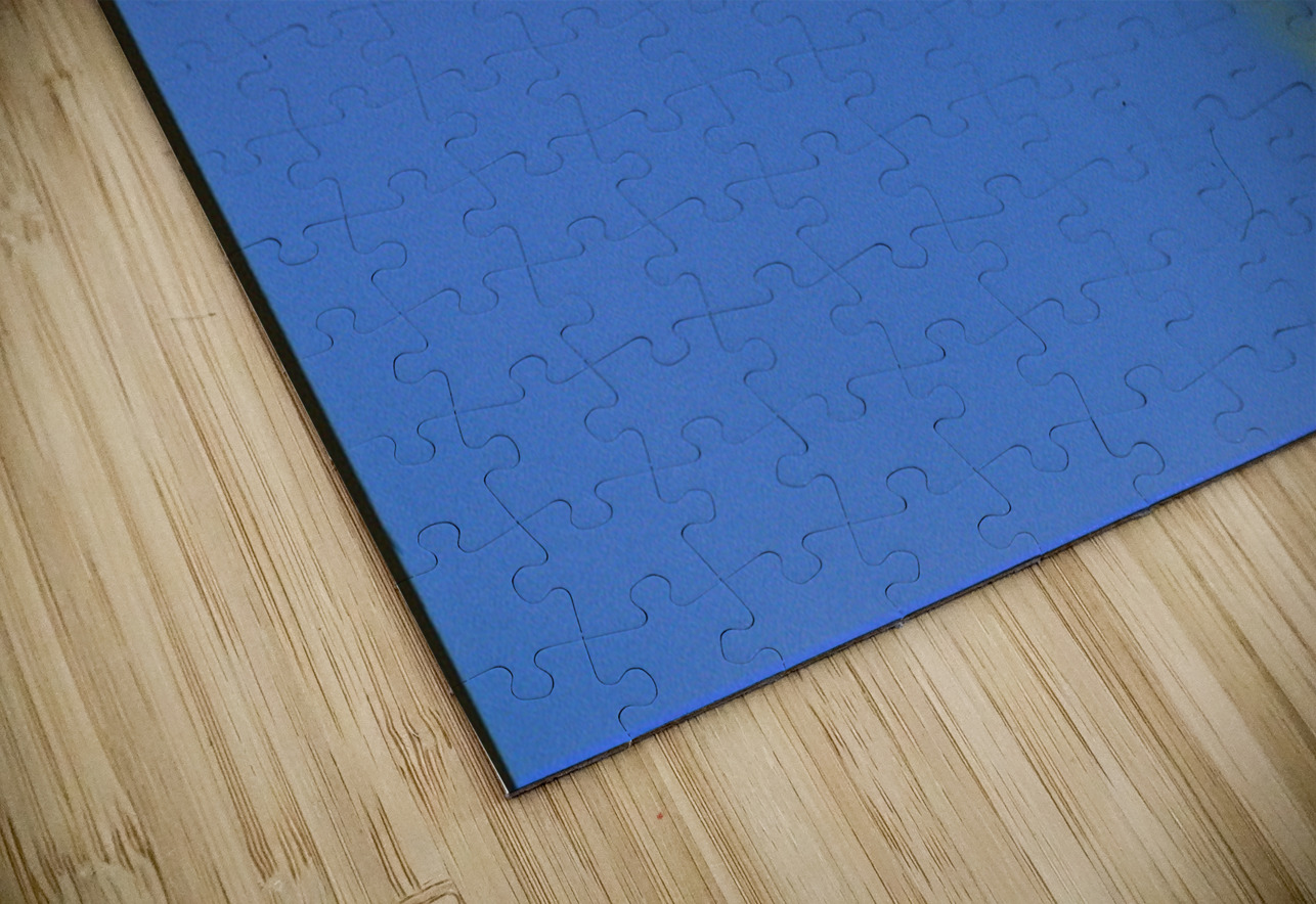 Butterflies at play Bonnies Wall Art Puzzle