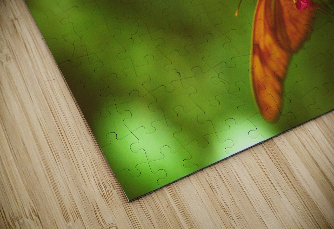 Orange butterfly having a drink Bonnies Wall Art Puzzle