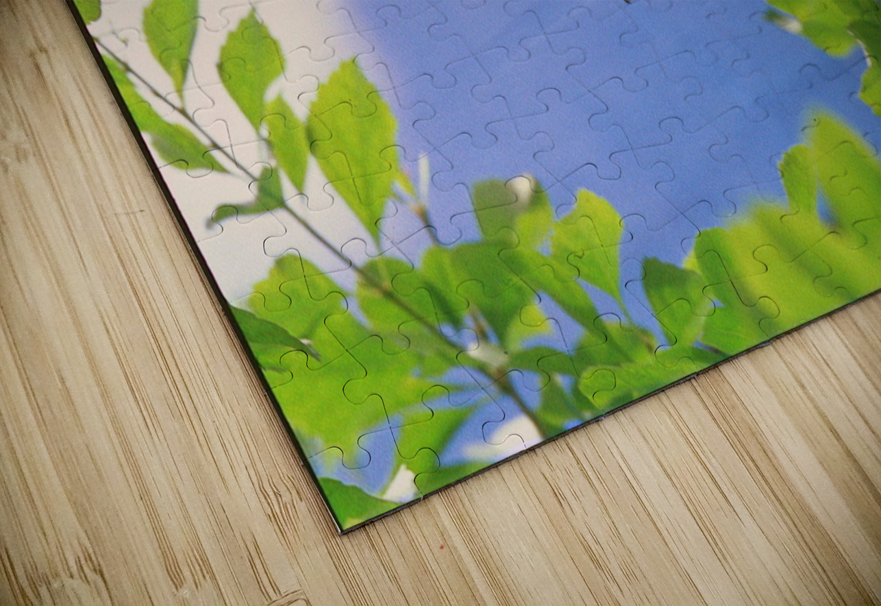 Orange butterflies playing Bonnies Wall Art Puzzle