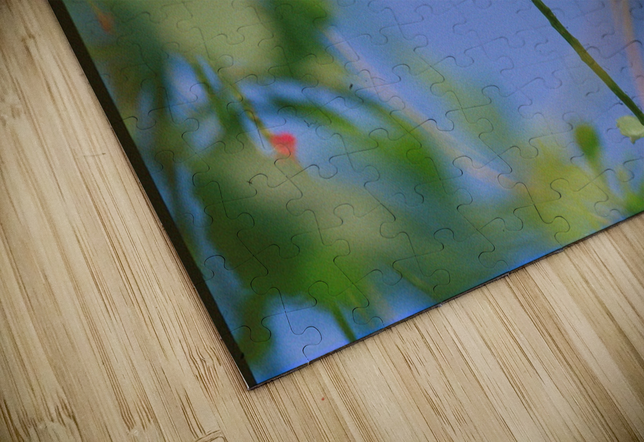 Orange Butterfly Having A Rest Bonnies Wall Art Puzzle