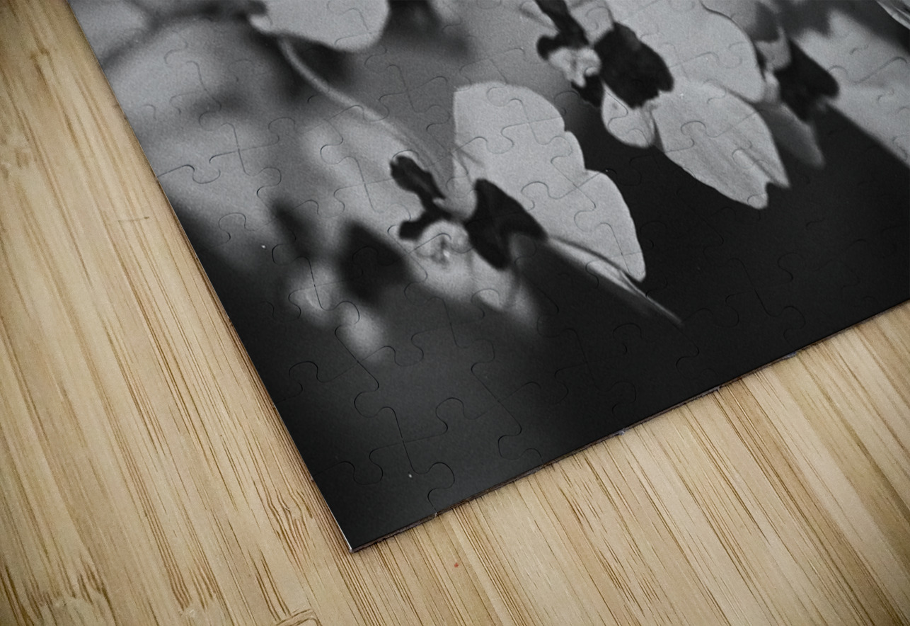 Black and White Floral Series 2 Bonnies Wall Art Puzzle