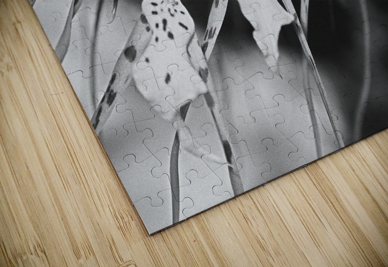 Black and White Floral Series 3 Bonnies Wall Art Puzzle
