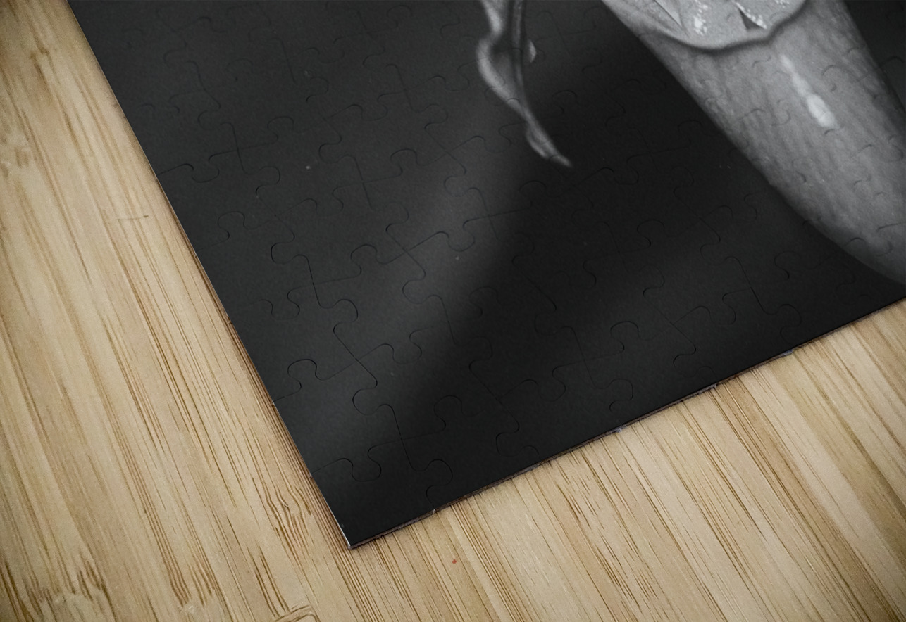 Black and White Orchid Series 2 Bonnies Wall Art Puzzle