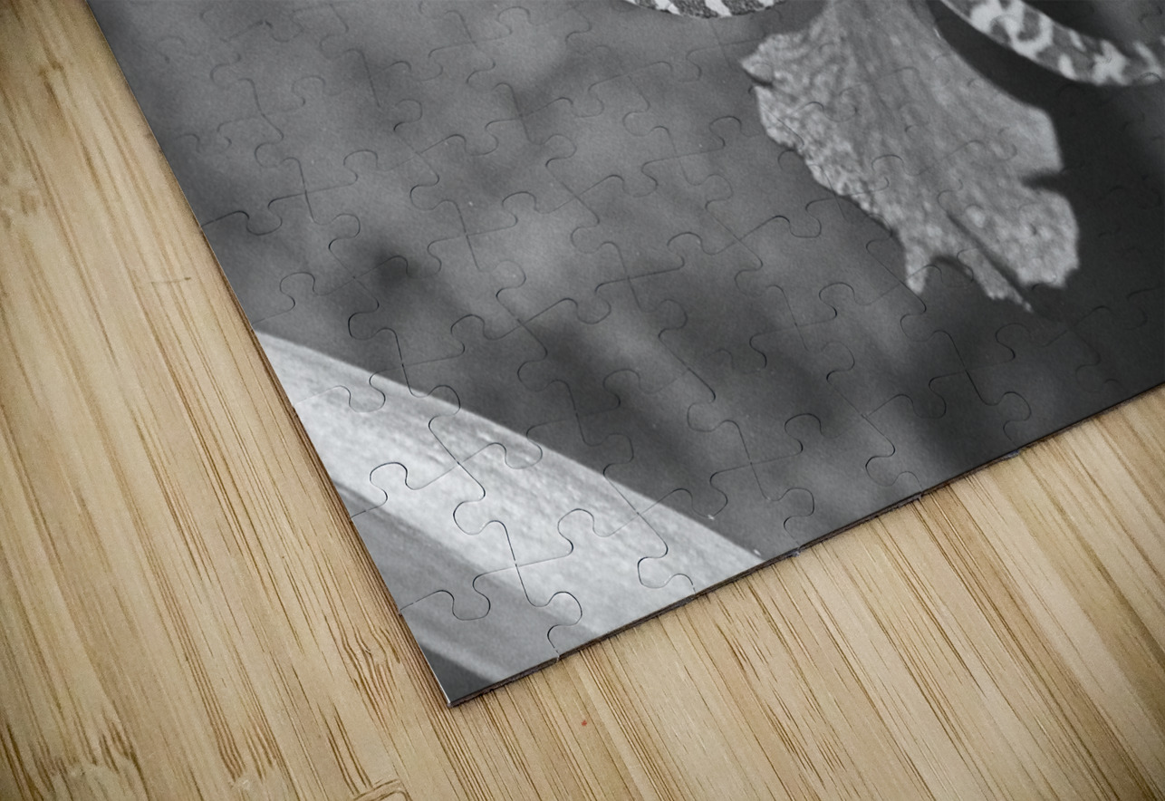 Black and White Orchid Series 1 Bonnies Wall Art Puzzle