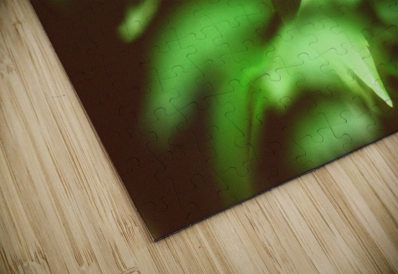 Butterfly With A Captured Beetle Bonnies Wall Art Puzzle